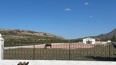 Chalet in Torre del Rico photo 24