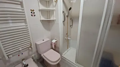 Apartment in Arrancapins photo 22