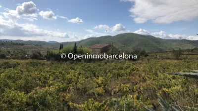 Rustic Finca in Can Coral photo 12