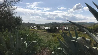 Rustic Finca in Can Coral photo 18