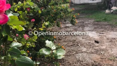 Rustic Finca in Can Coral photo 26