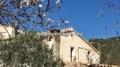 Rustic Finca in Can Coral photo 3