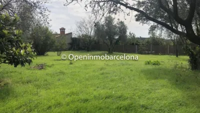 Rustic Finca in Can Coral photo 5