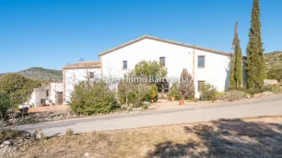 Rustic Finca in Plana Novella photo 57