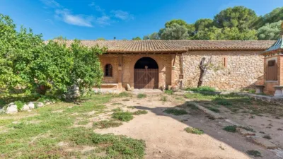 Casa in Mas Alba-Can Lloses photo 5