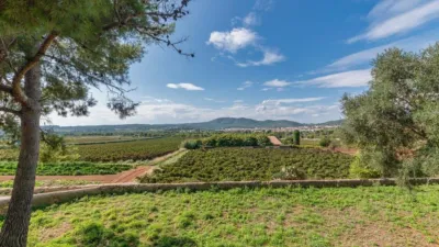 Casa in Mas Alba-Can Lloses photo 8