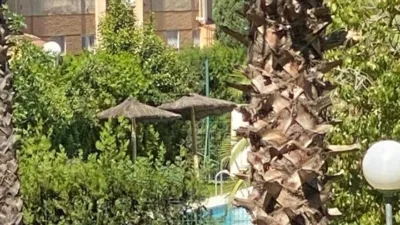 Piso en alquiler en La Motilla, Dos Hermanas de 1.600 €<span>/mes</span>