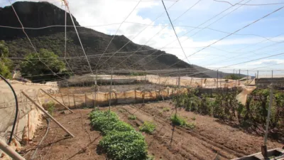 Rustic Finca on Carretera Al Puerto, No. 58 photo 33