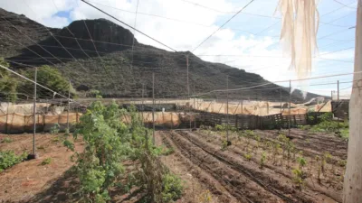 Rustic Finca on Carretera Al Puerto, No. 58 photo 35