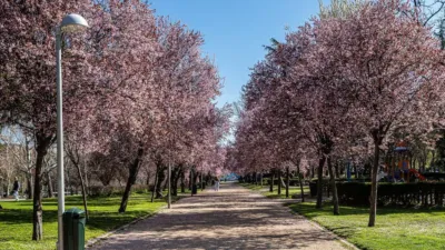 Piso en alquiler en Calle de La Bañeza - Imagen 27