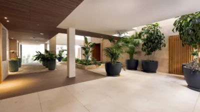 Penthouse on Avenida del Carmen photo 28