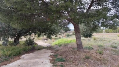 House in Comunidad Valenciana photo 24