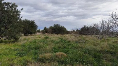 House in Comunidad Valenciana photo 25