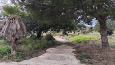 House in Comunidad Valenciana photo 26