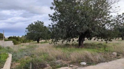 House in Comunidad Valenciana photo 29