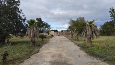 House in Comunidad Valenciana photo 32