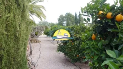 Rustic Finca in Totana photo 24