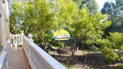 Rustic Finca in Totana photo 12