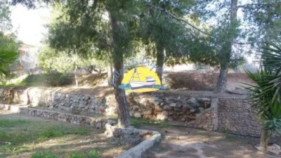 Rustic Finca in Totana photo 13
