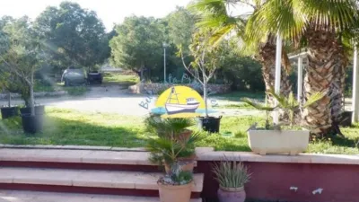 Rustic Finca in Totana photo 5