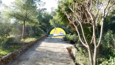Rustic Finca in Totana photo 9