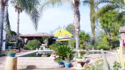 Chalet in La Charca photo 17