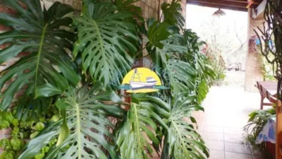 Chalet in La Charca photo 73