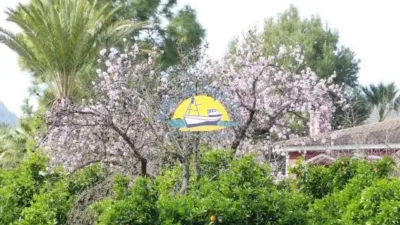 Chalet in La Charca photo 76