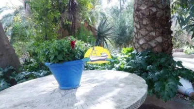 Chalet in La Charca photo 79