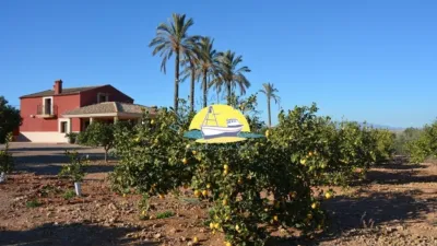 Chalet in Leiva photo 21