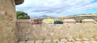 Rustic Finca in Isla Plana photo 39