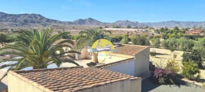 Rustic Finca in Leiva photo 42