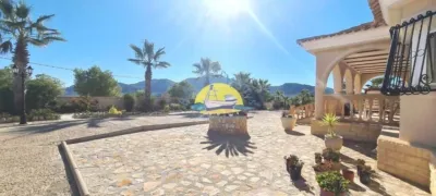 Rustic Finca in Leiva photo 47