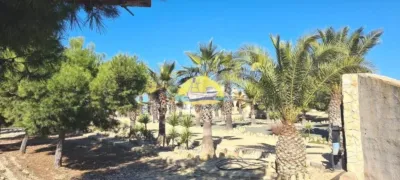 Rustic Finca in Leiva photo 53