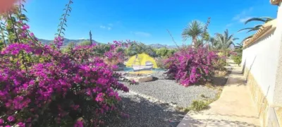 Rustic Finca in Leiva photo 55