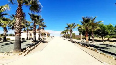 Rustic Finca in Leiva photo 58