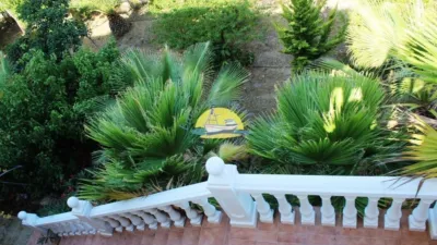 Chalet in Benidorm photo 60