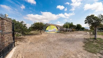 Rustic Finca in Leiva photo 27