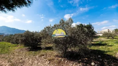 Rustic Finca in Leiva photo 30