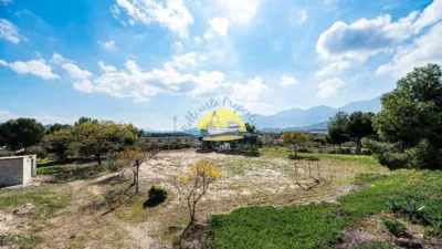Rustic Finca in Leiva photo 31