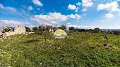 Rustic Finca in Leiva photo 32