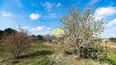 Rustic Finca in Leiva photo 33