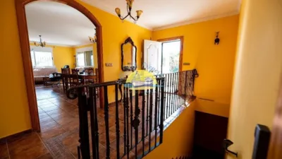 Rustic Finca in Leiva photo 7