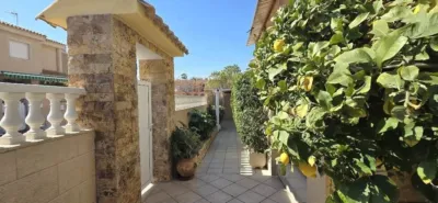 Chalet in El Alamillo photo 51