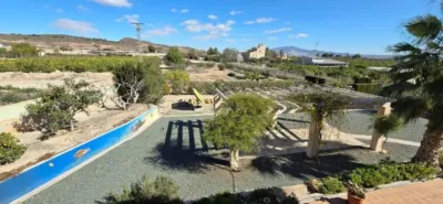 Chalet en Totana photo 42