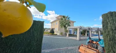 Chalet en Totana photo 50