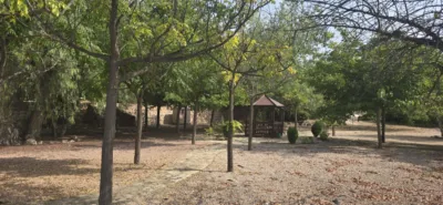 Chalet en Totana photo 44