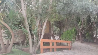 Chalet in Totana photo 20