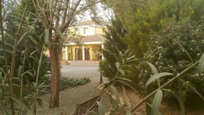 Chalet in Totana photo 74