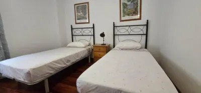 Apartment in the City Centre photo 12
